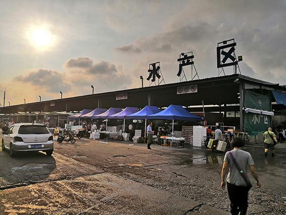 上海农产品市场“冰厂”恶势力垄断调查 商户被逼交保护费，市场秩序遭严重破坏